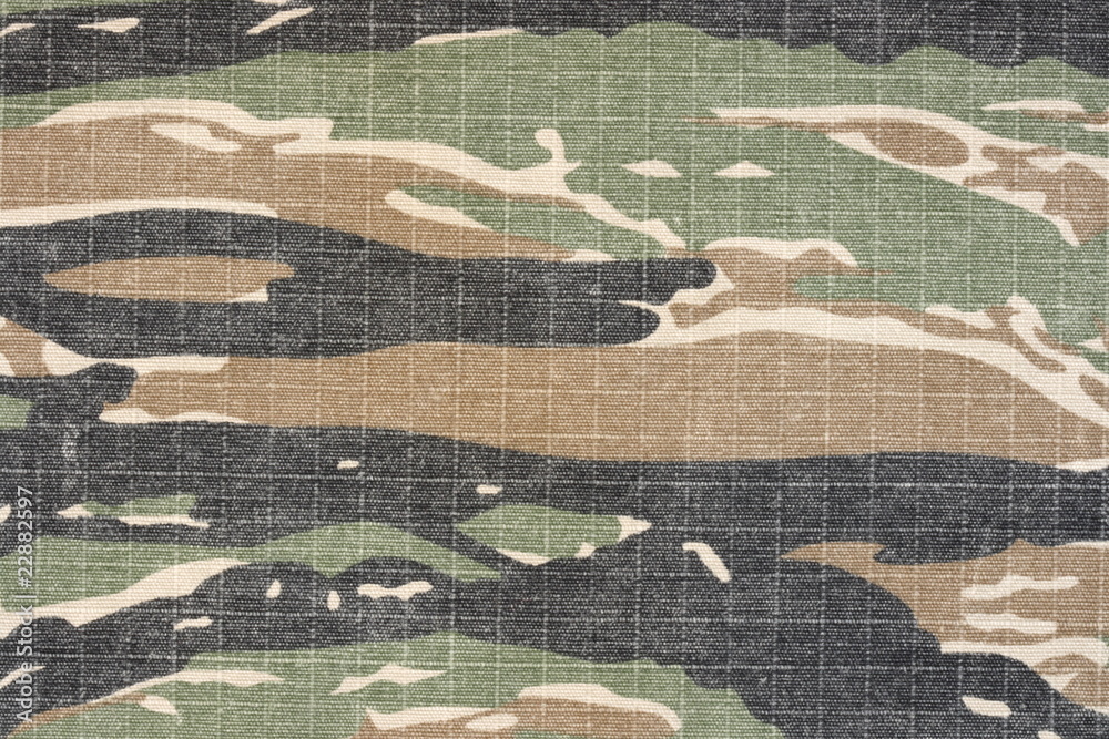 Fototapeta premium vintage tiger stripe