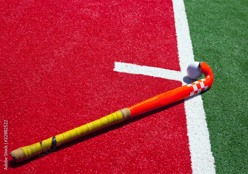 Tableau sur toile hockey stick on the field