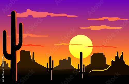 Arizona desert landscape
