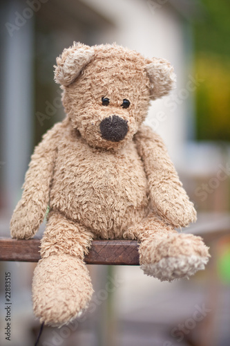 ours en peluche