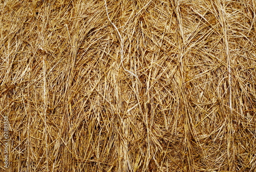 Golden straw background