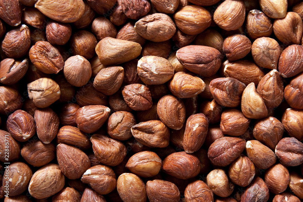 Hazelnuts Hazelnuts