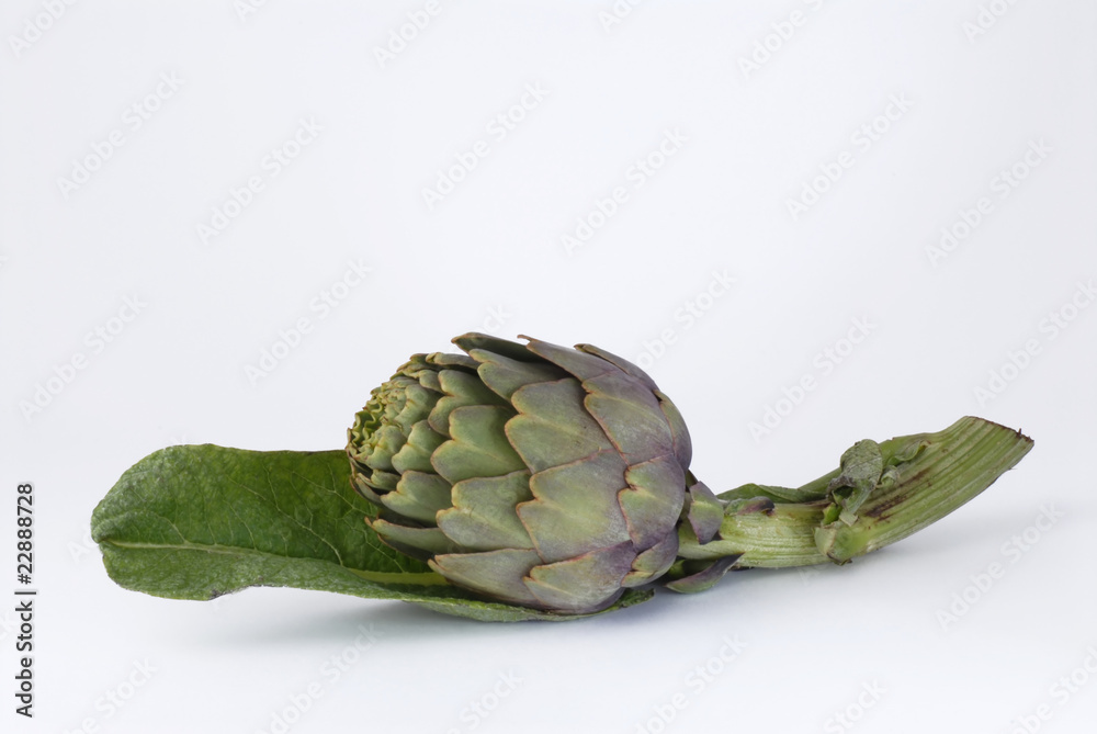 Obraz premium carciofi