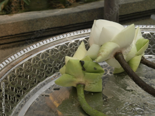 Ofrendas florales budistas en Bangkok