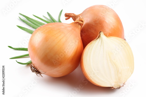 Fototapeta Fresh bulbs of onion on a white background