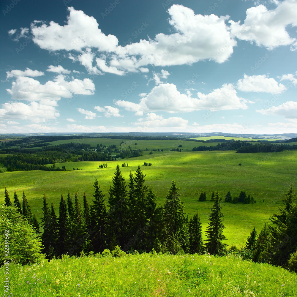Naklejka premium Hill