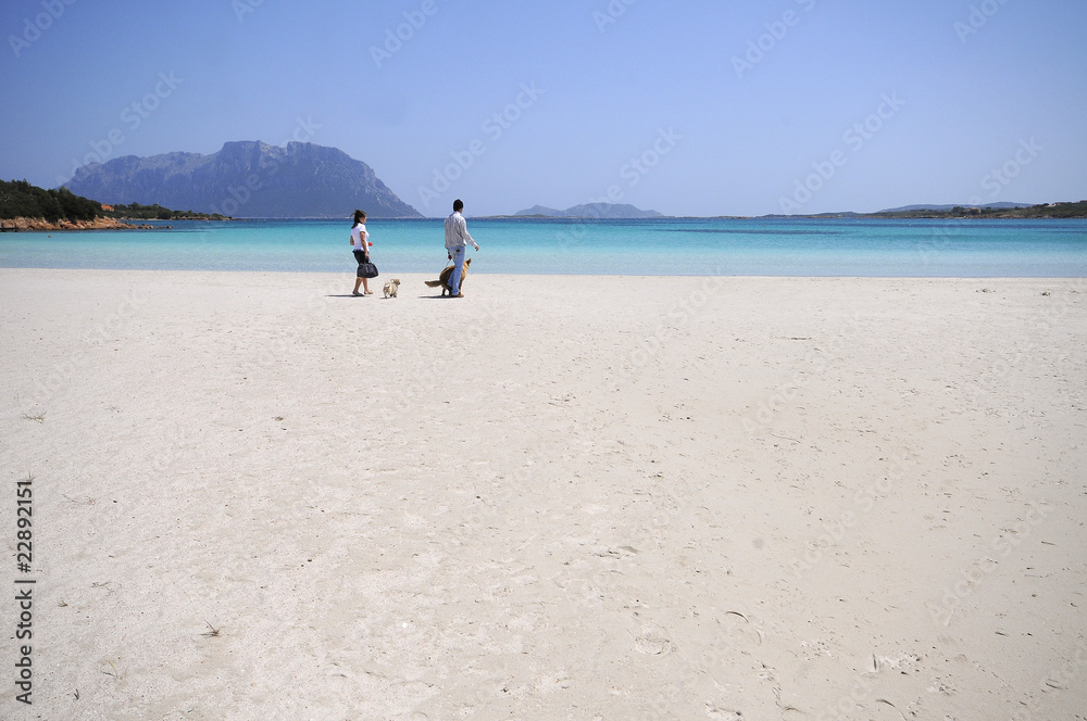 coppia passeggia con cane in spiaggia
