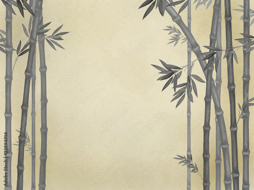 Fototapeta premium 竹