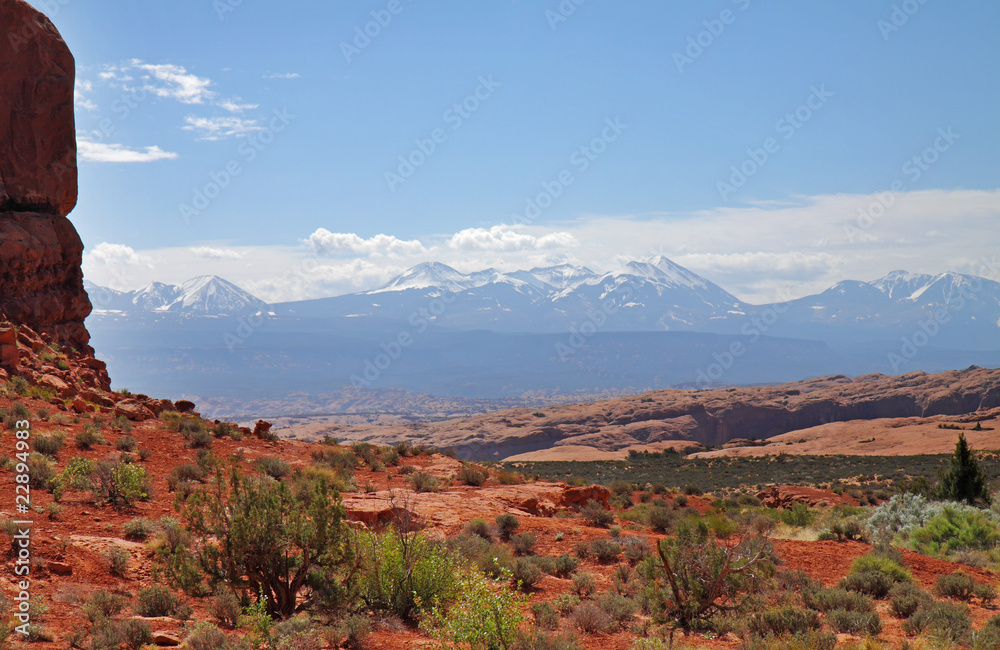 Canyon Landscape in the USA