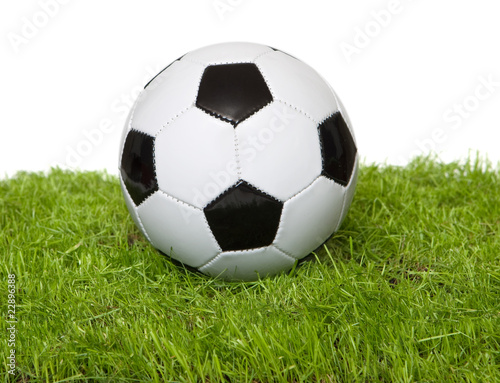 Fussball auf Rasen