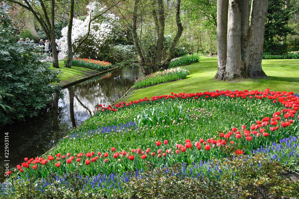 Parc, tulipes, canal