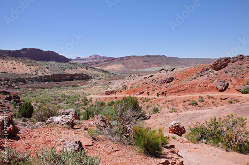 Canyon Landscape in the USA