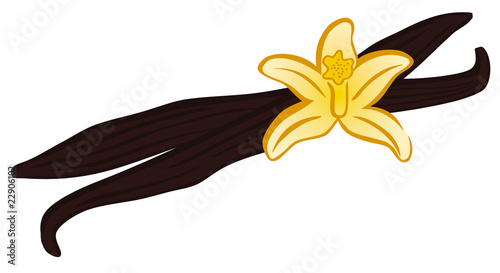 vanilla