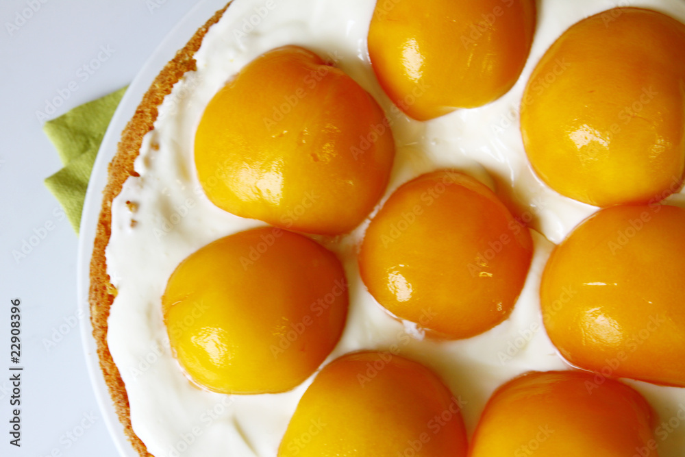 obstkuchen obstkuchen