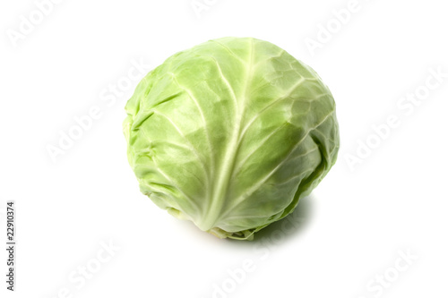head of green cabbage