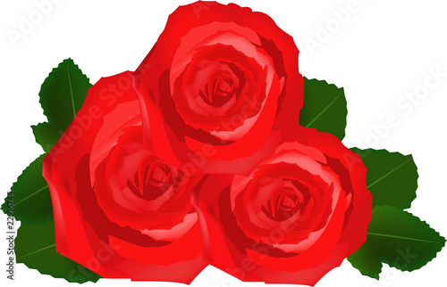 rose