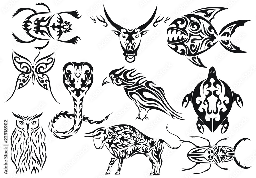 453 Tribal Animal Tattoo Stock Photos, High-Res Pictures, and Images -  Getty Images