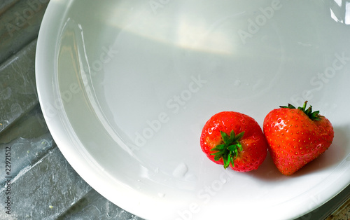 FRESH FRUIT