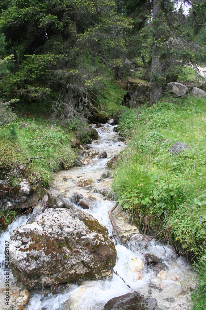 Torrent in italian moutain Torrent in italian moutain