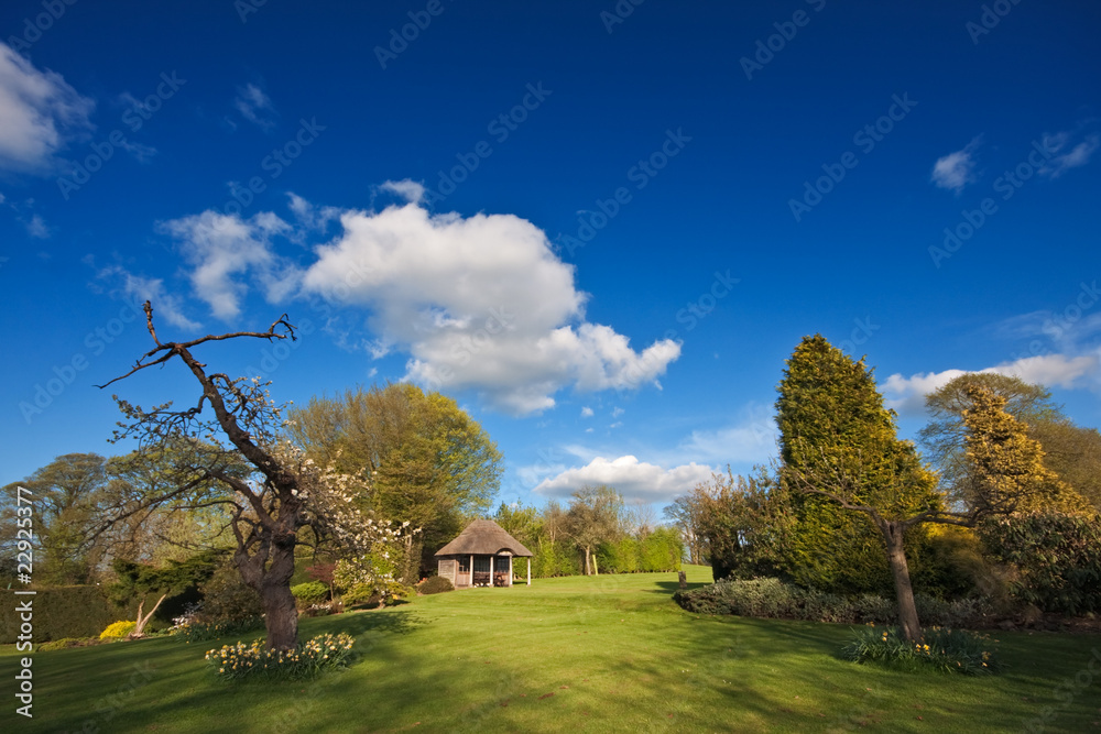 Domestic garden blooming in spring Domestic garden blooming in spring