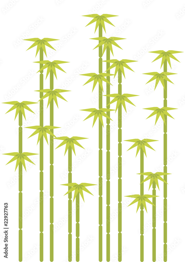 Obraz premium bamboo trees