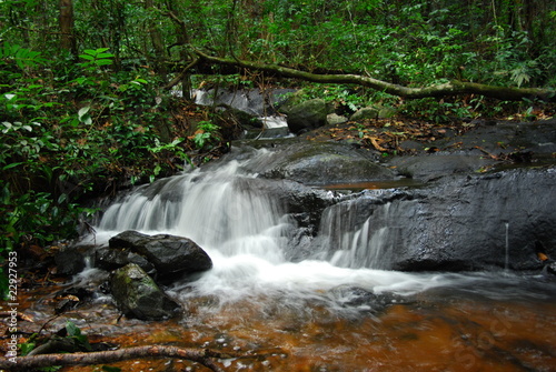 Fototapeta Naklejka Na Ścianę i Meble -  chute d'eau en amazonie