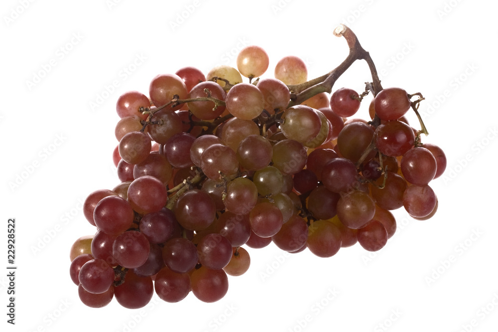 Fototapeta premium Uva