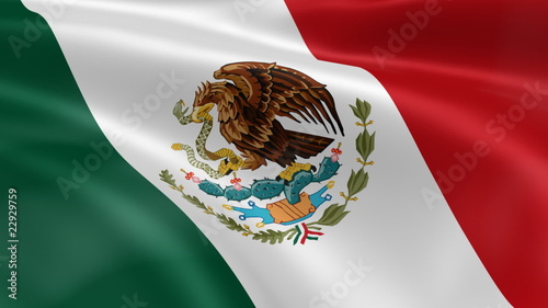 Mexican flag in the wind. Part of a series.