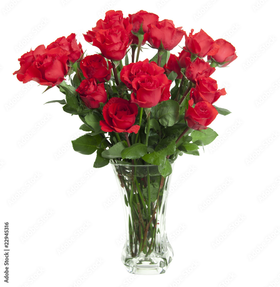 24 Roses in Glass Vase 24 Roses in Glass Vase
