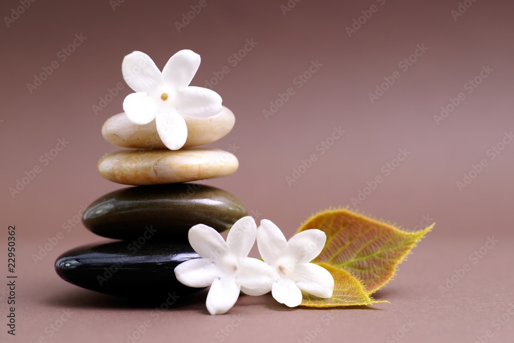 Balance Balance