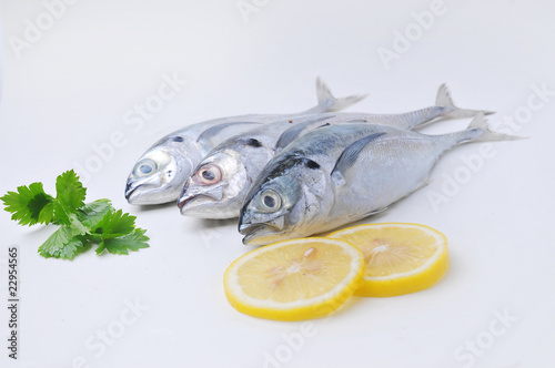 fish with the lemon