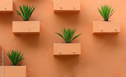 Orange background with desert plants photo