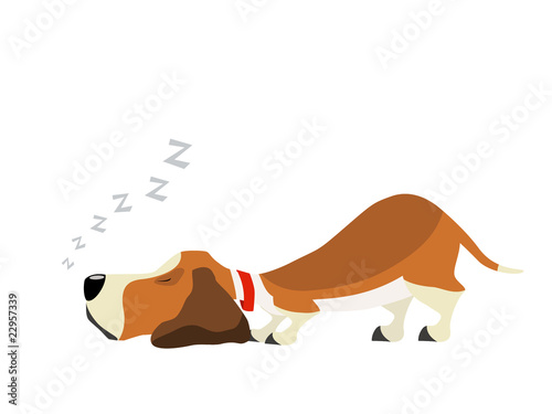 basset sweet dream