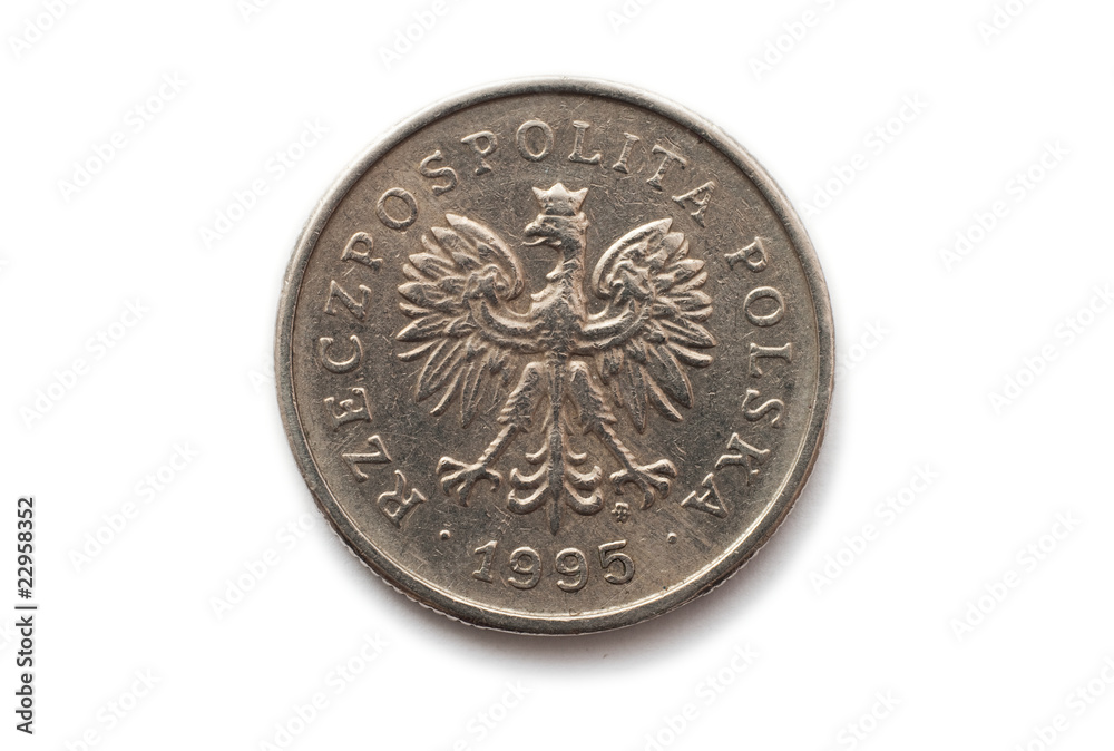 Naklejka premium Polish coin