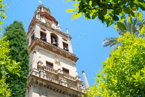 TORRE, MINARETE, MEZQUITA DE CÓRDOBA, ANDALUCÍA photo