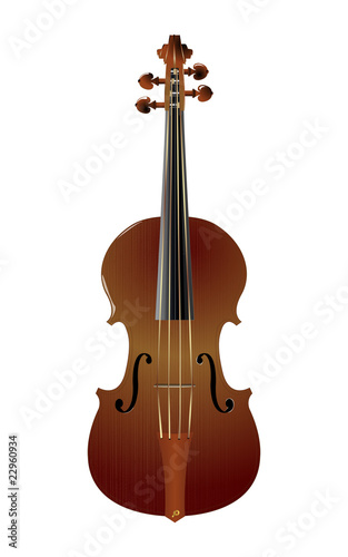 Traditional violin
