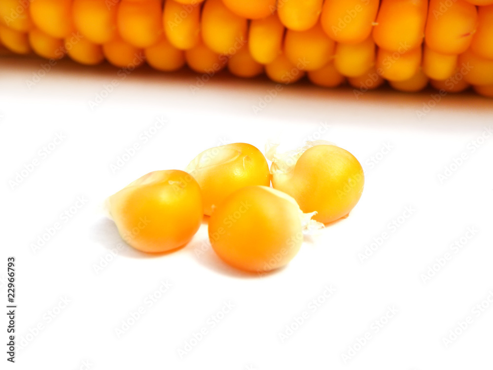 detail of a corn detail of a corn