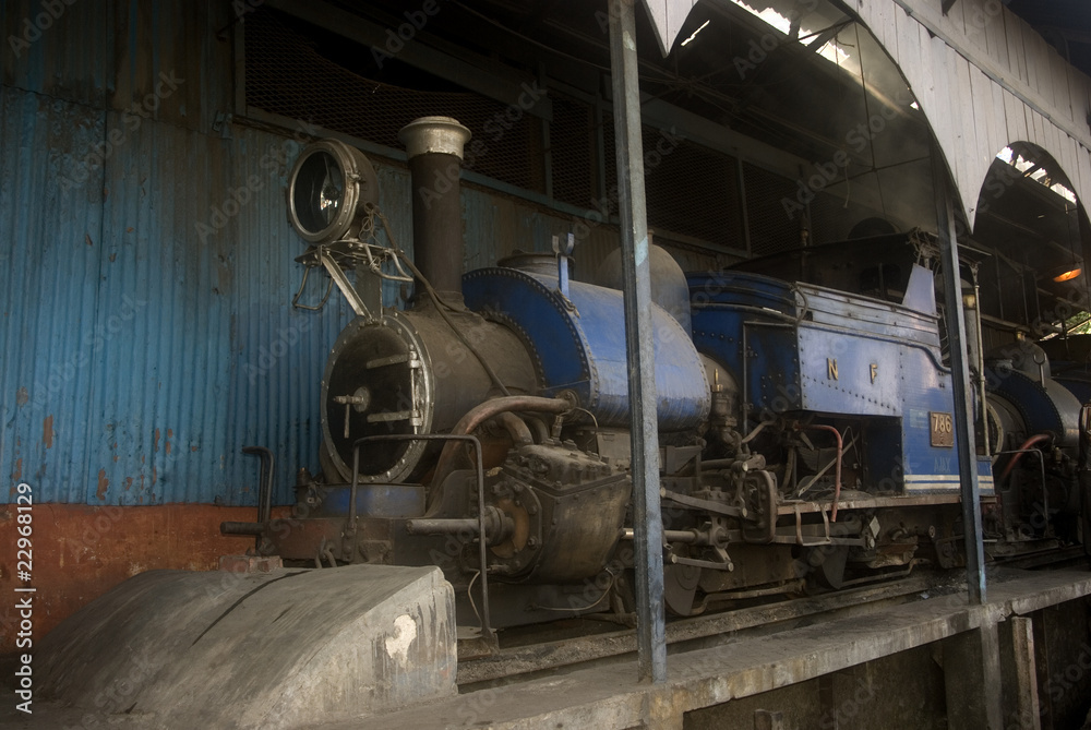 Toy train, Darjeeling, India - obrazy, fototapety, plakaty 