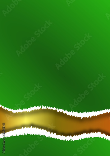 Papier cadeau vert