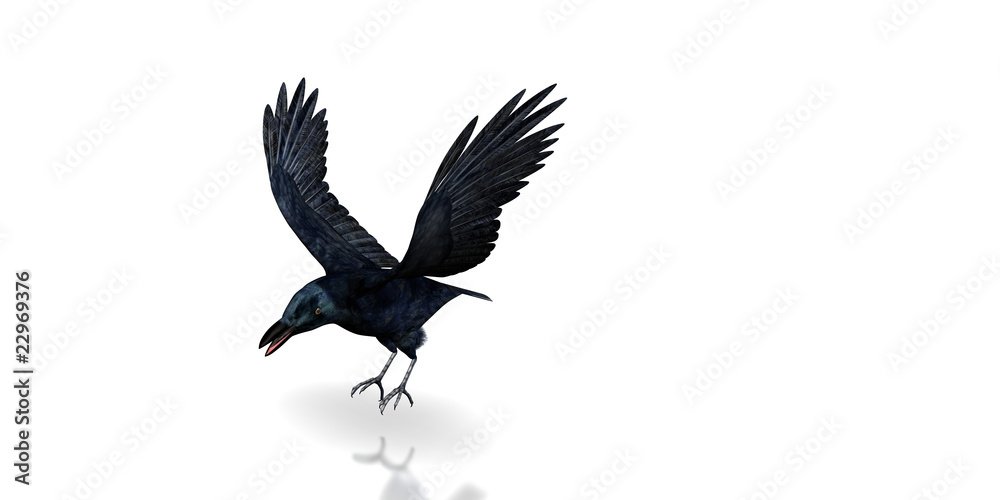 Obraz premium rabe v1