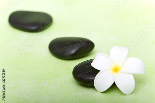 Spa stones and tropical frangipani flower