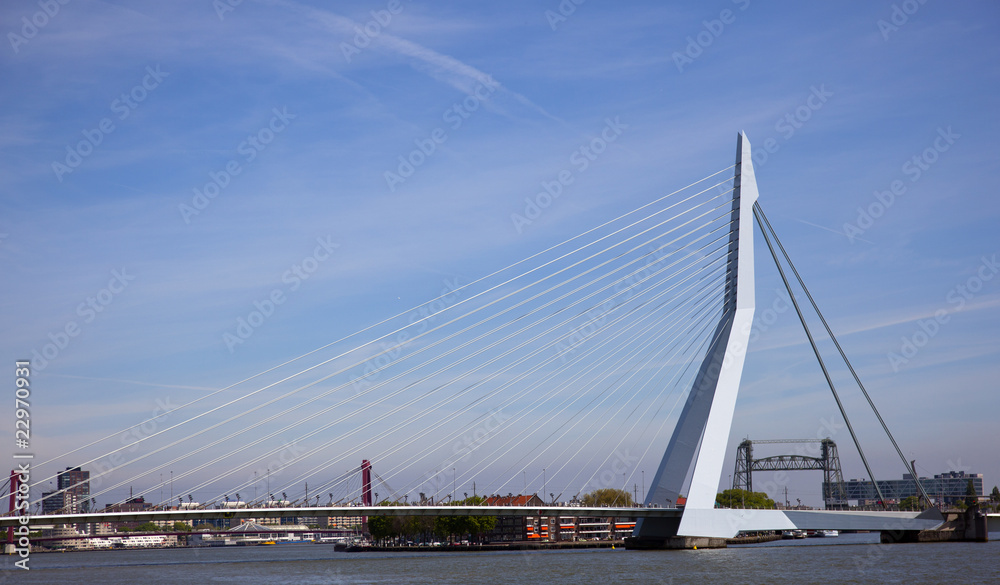 erasmus bridge in the centrer of rotterdam