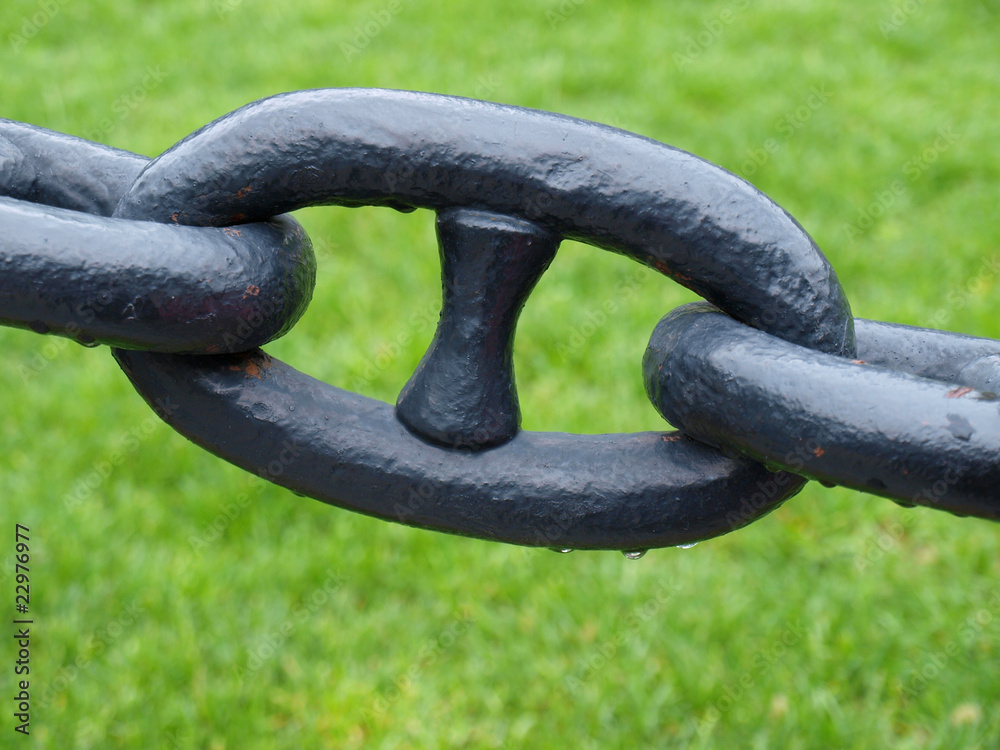 Naklejka premium Single chain link