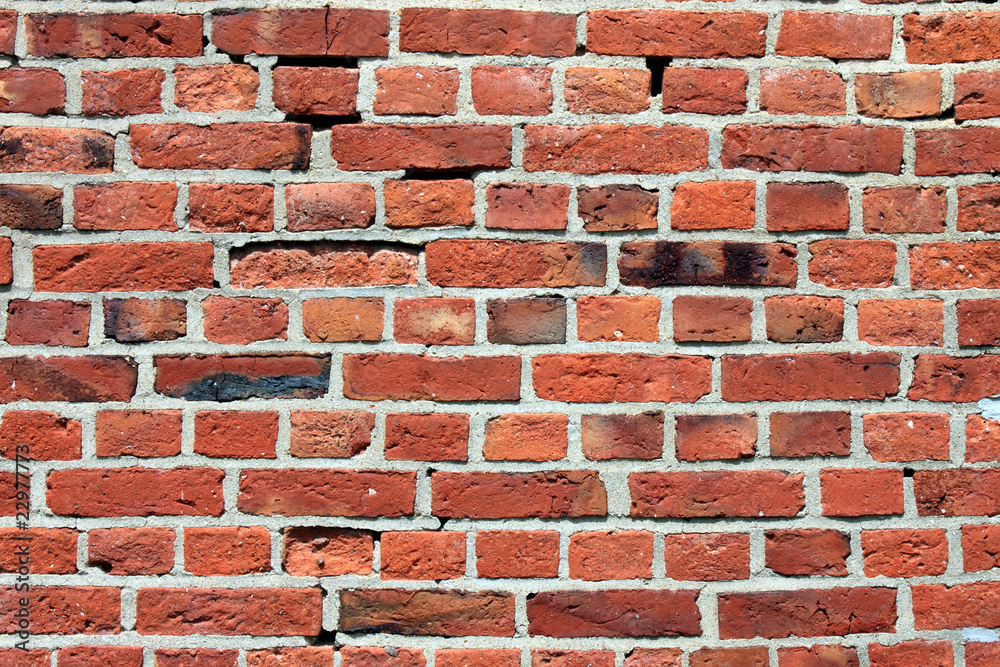 Fototapeta premium brick wall 7