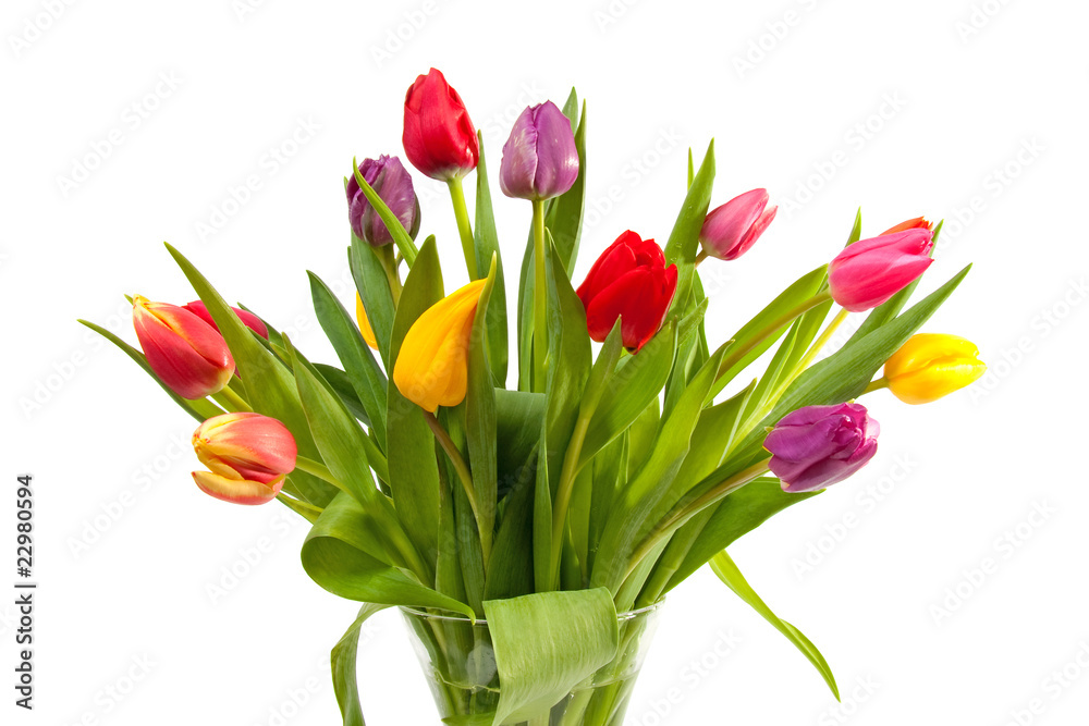 Bouquet of Dutch tulips over white background Bouquet of Dutch tulips over white background