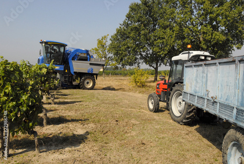 Vendanges moderne