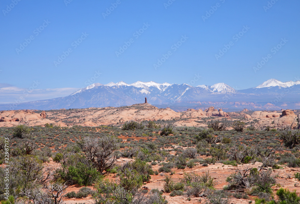Desert and Canyon Landscape in the USA
