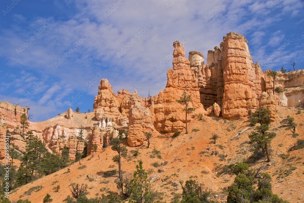 Hoodoos in a row, Mossy Cave Trail, Bryce Canyon National Park