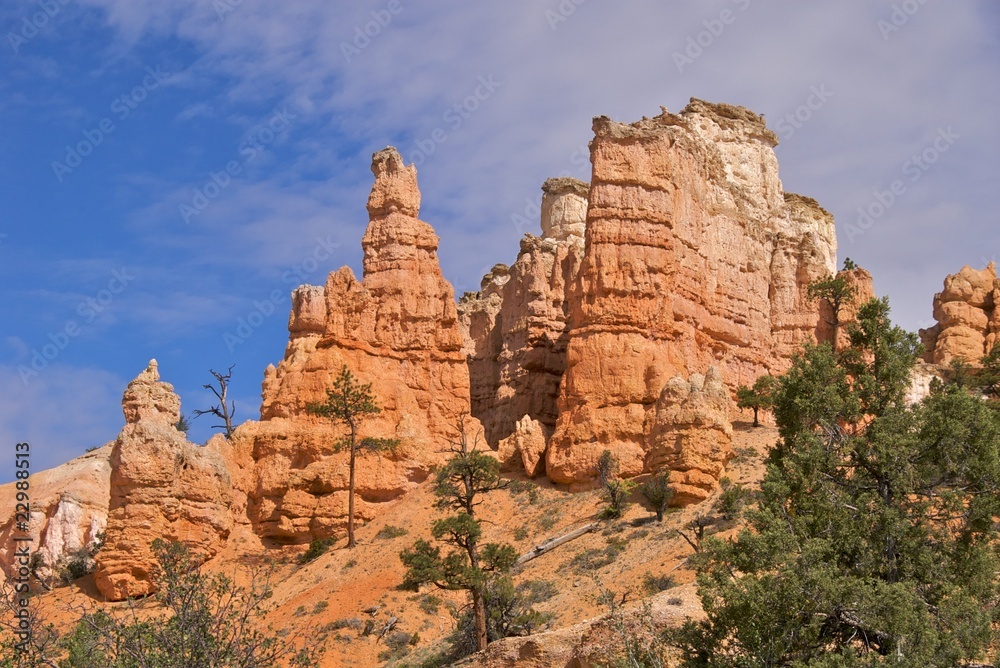Hoodoos, Mossy Cave Trail, Bryce Canyon National Park