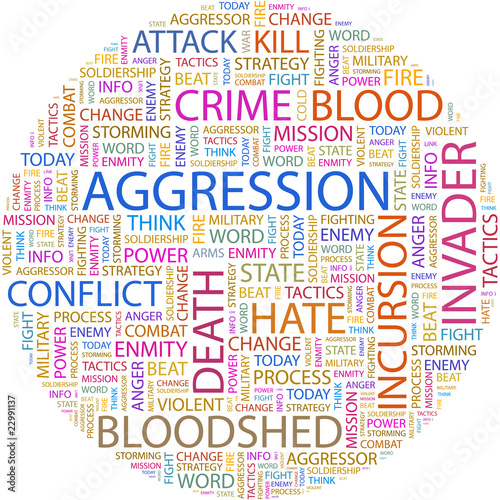 AGGRESSION. Illustration with different association terms.